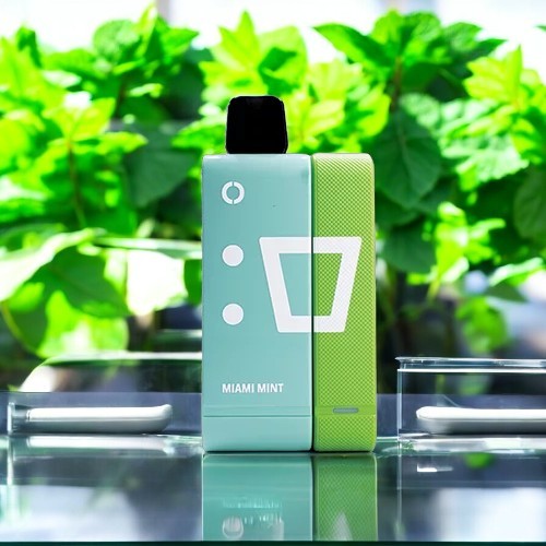 Elfbar EW9000 Kits