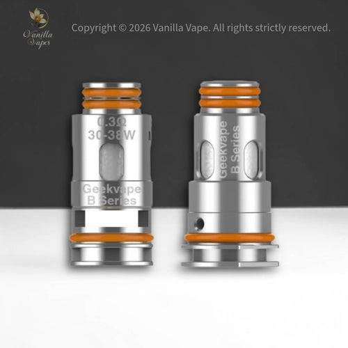 résistance b series coil geek vape Vaping Tips: How to Avoid a Burnt Taste – iKrusher main image 1